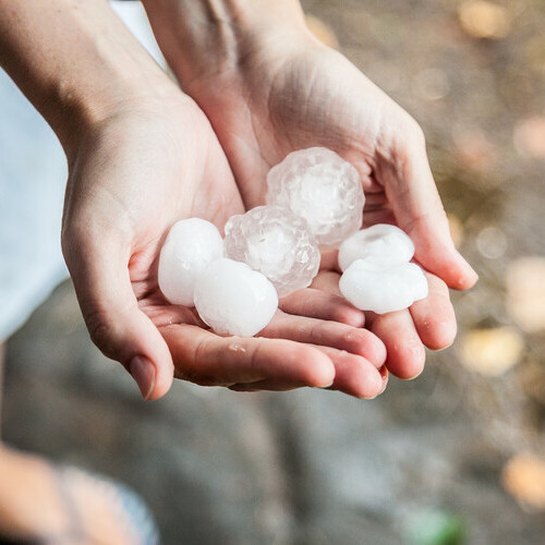 a handful of hailstones